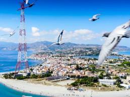 Gabbiani in Volo e panorama su Capo Peloro (ME)