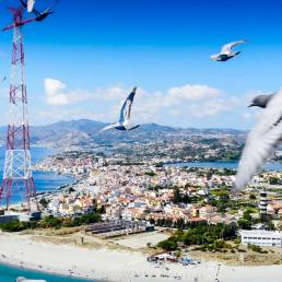 Gabbiani in Volo e panorama su Capo Peloro (ME)